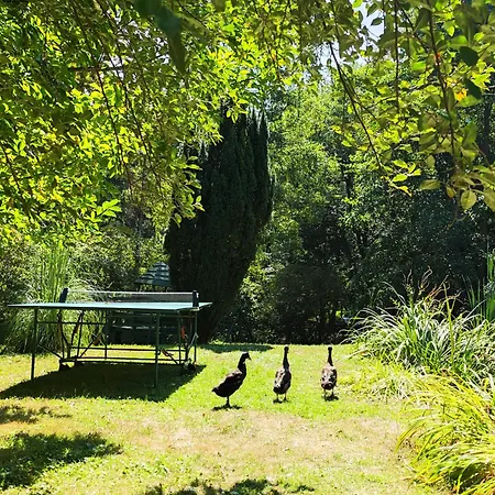 Eletmagtar Kétvölgy